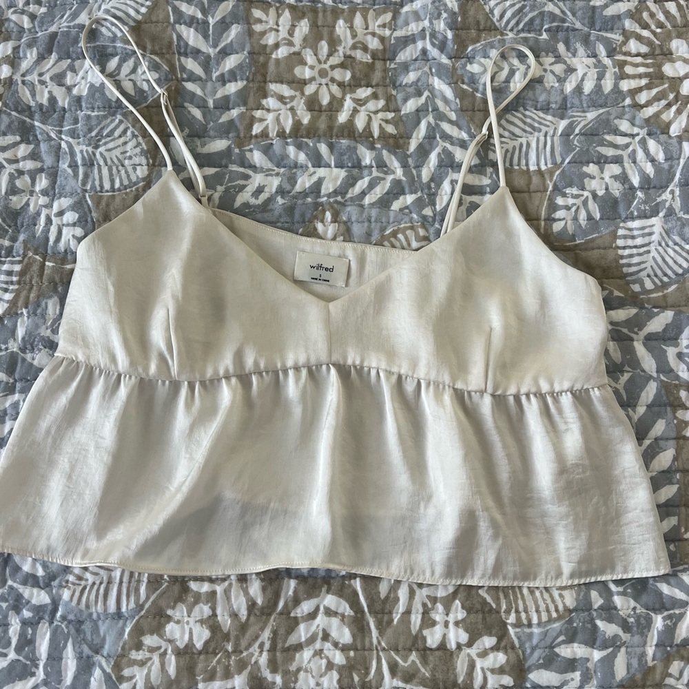 Aritzia Top